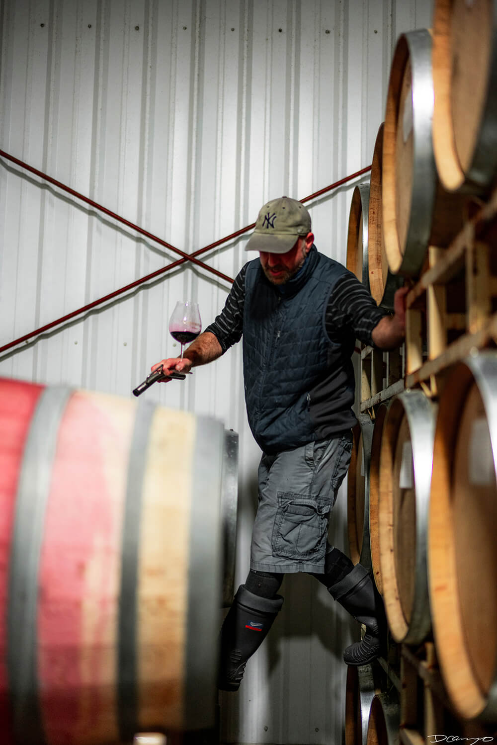 Photos with Communique Wines in McMinville, Oregon, in the Fall of 2020.